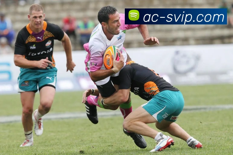 俄罗斯贵宾会官网平台生态图